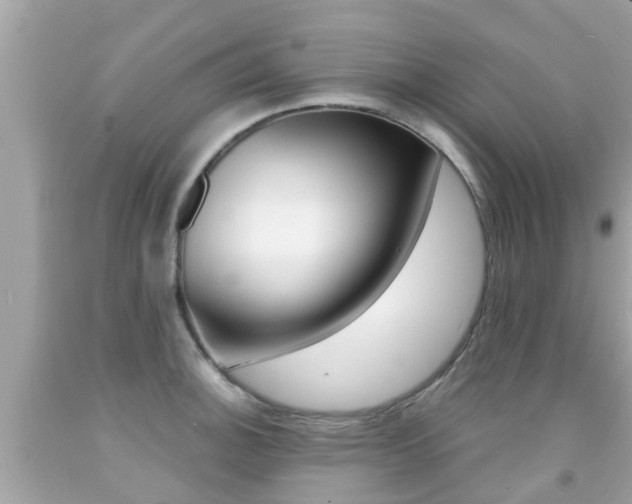 X0000091861140200709050951