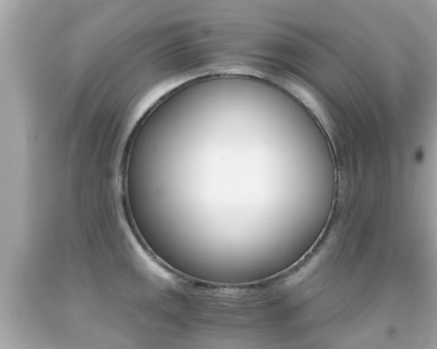 X0000091861141200709050951