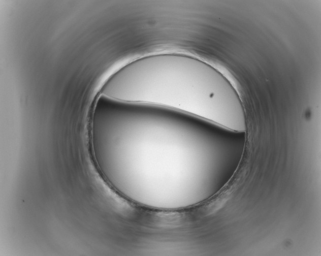 X0000091861142200709050951