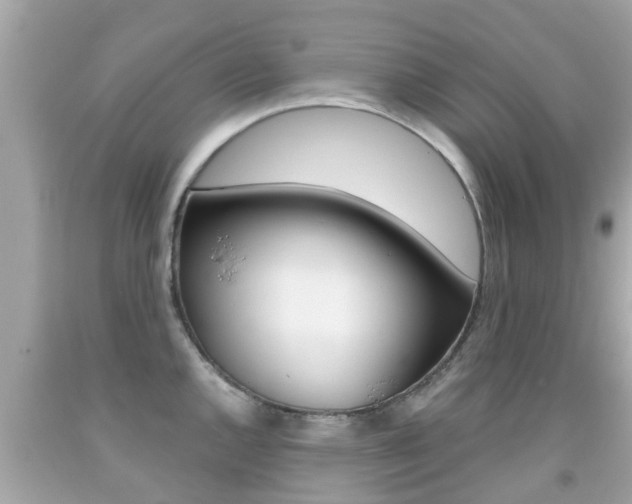 X0000091861144200709050951
