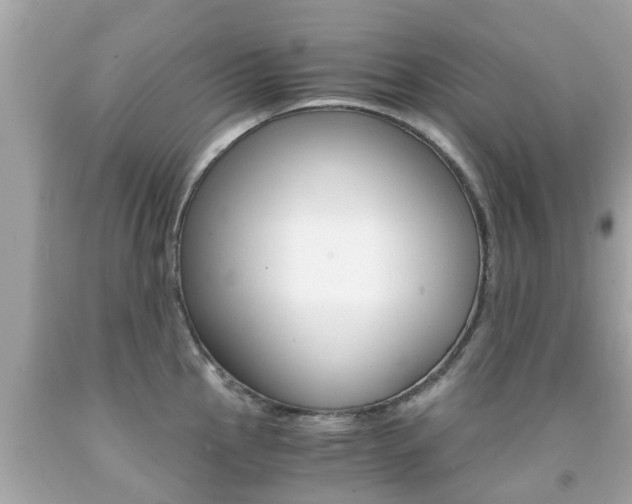 X0000091861145200709050951