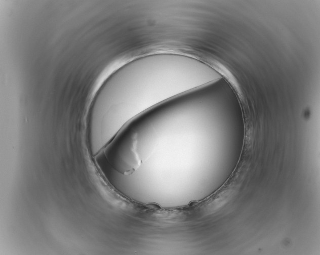 X0000091861146200709050951