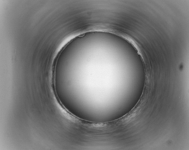 X0000091861147200709050951