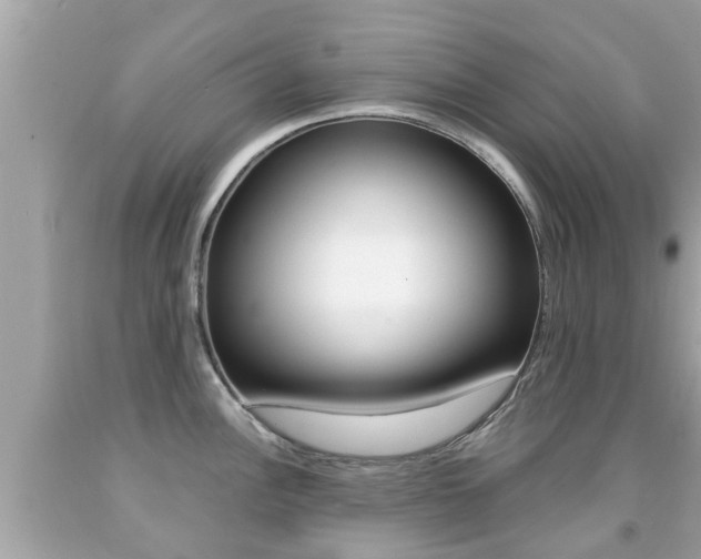 X0000091861148200709050951