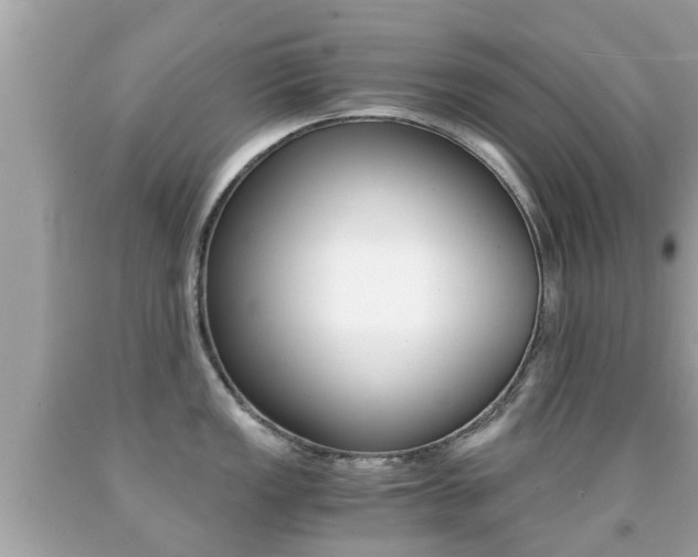 X0000091861149200709050951