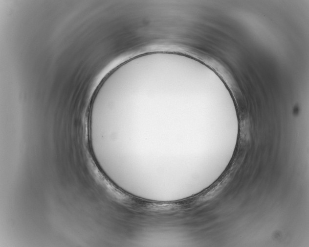 X0000091861150200709050951