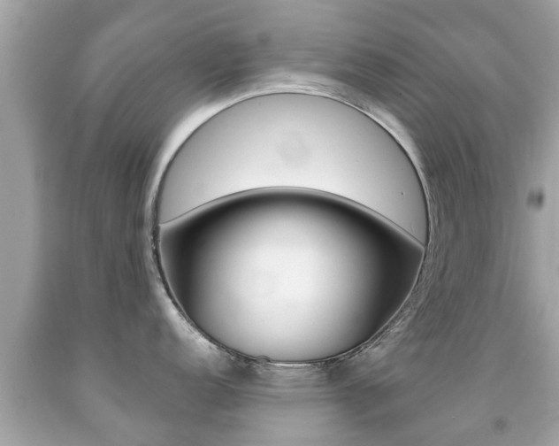 X0000091861152200709050951