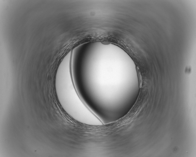 X0000091861153200709050951