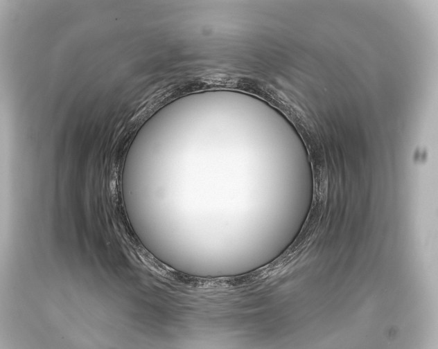 X0000091861154200709050951