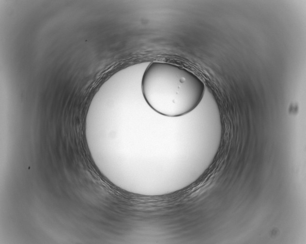 X0000091861156200709050951