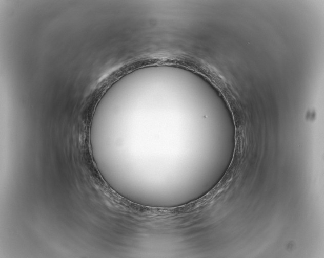 X0000091861158200709050951