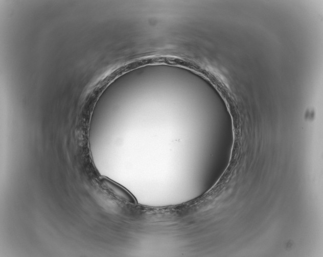 X0000091861159200709050951