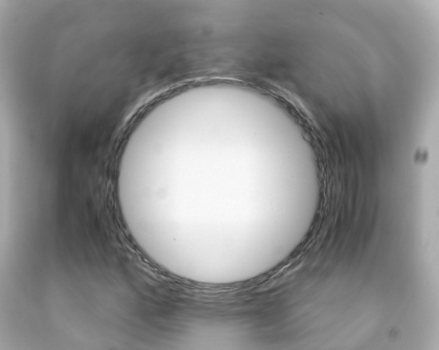 X0000091861160200709050951