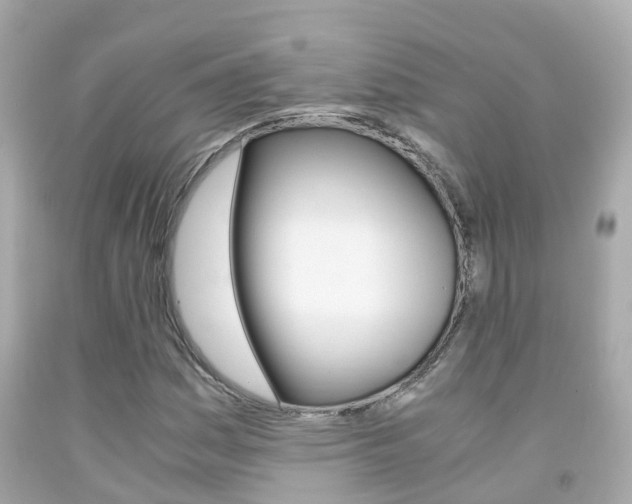 X0000091861161200709050951