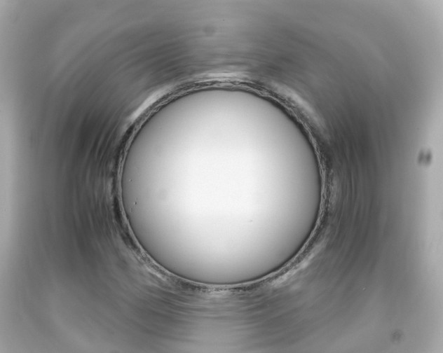 X0000091861162200709050951