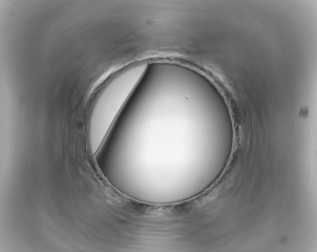 X0000091861165200709050951