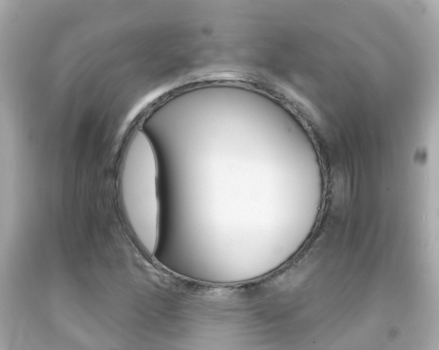 X0000091861166200709050951