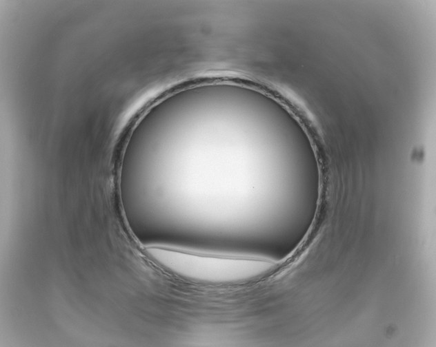 X0000091861167200709050951