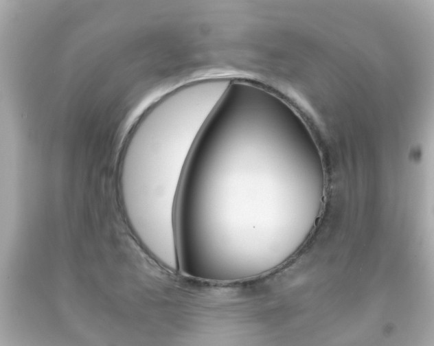 X0000091861173200709050950