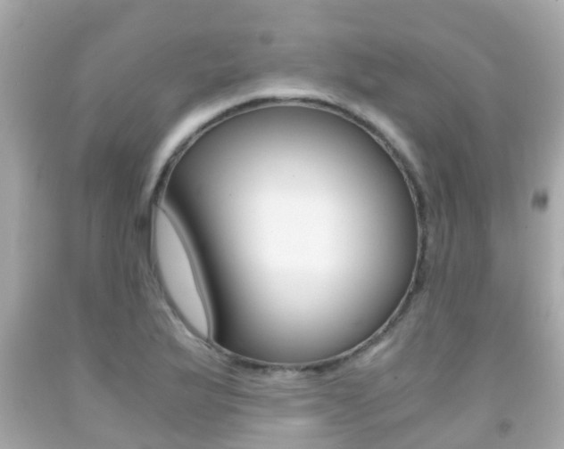 X0000091861175200709050950