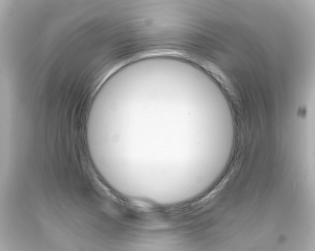 X0000091861177200709050950