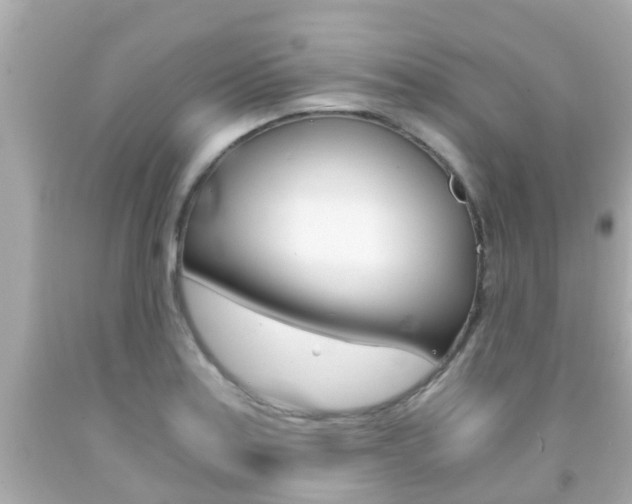 X0000091861179200709050950