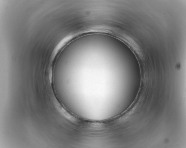 X0000091861180200709050950