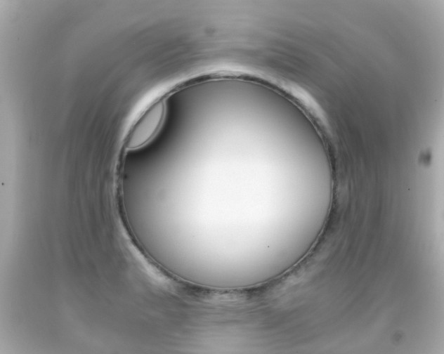 X0000091861183200709050950