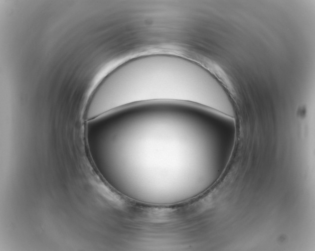 X0000091861184200709050950