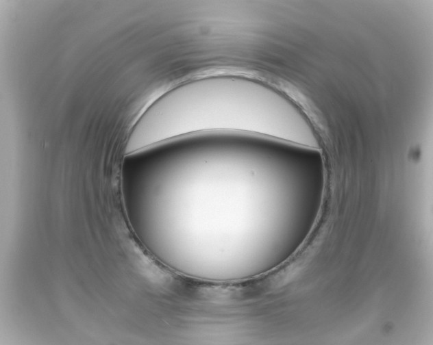 X0000091861185200709050950