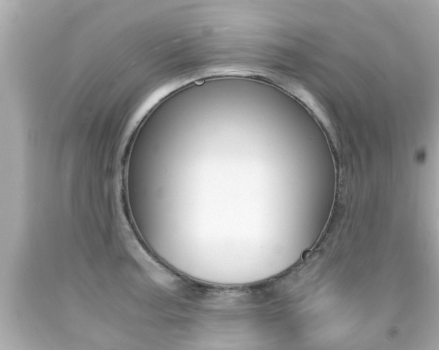 X0000091861187200709050950