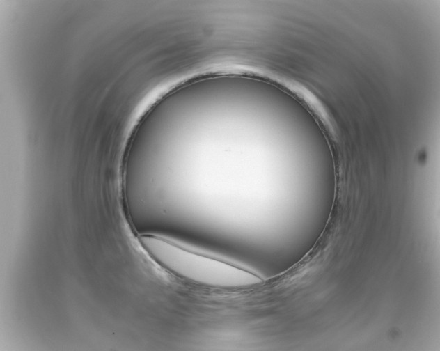 X0000091861191200709050950