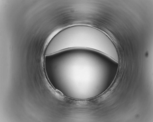 X0000091861196200709050950
