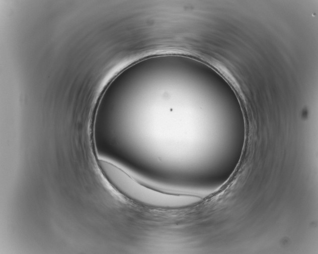 X0000091861197200709050950