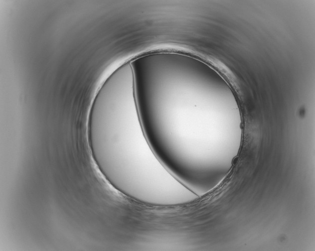 X0000091861199200709050950
