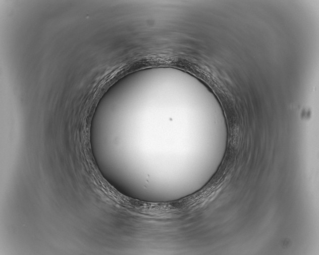 X0000091861201200709050950