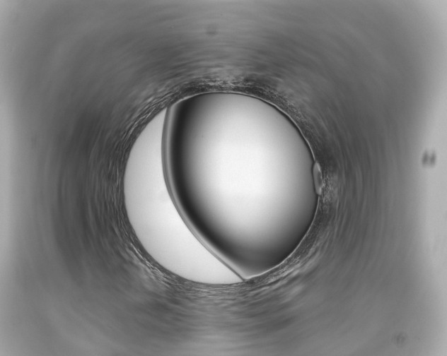 X0000091861202200709050950