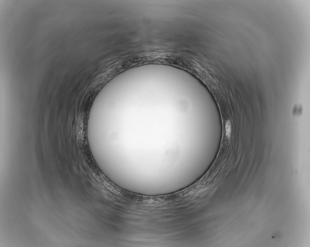 X0000091861203200709050950