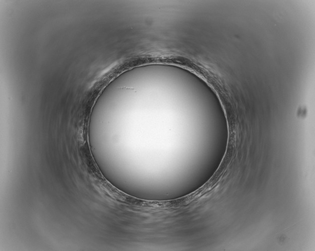X0000091861205200709050950