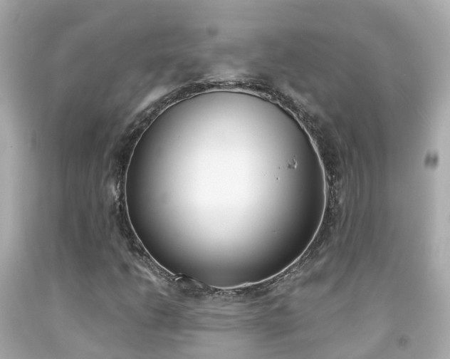 X0000091861206200709050950