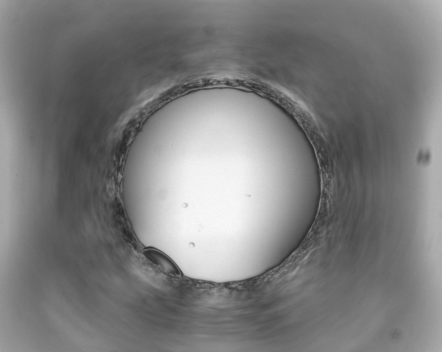 X0000091861207200709050950