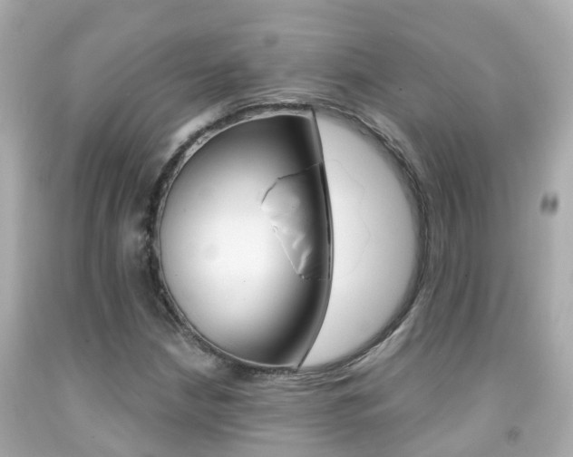 X0000091861210200709050950