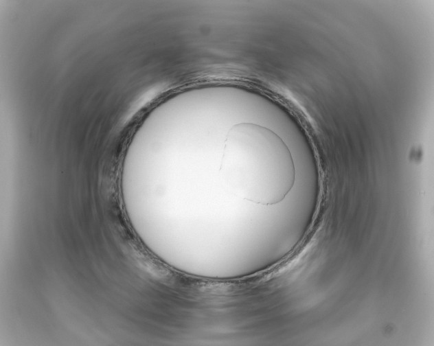 X0000091861211200709050950
