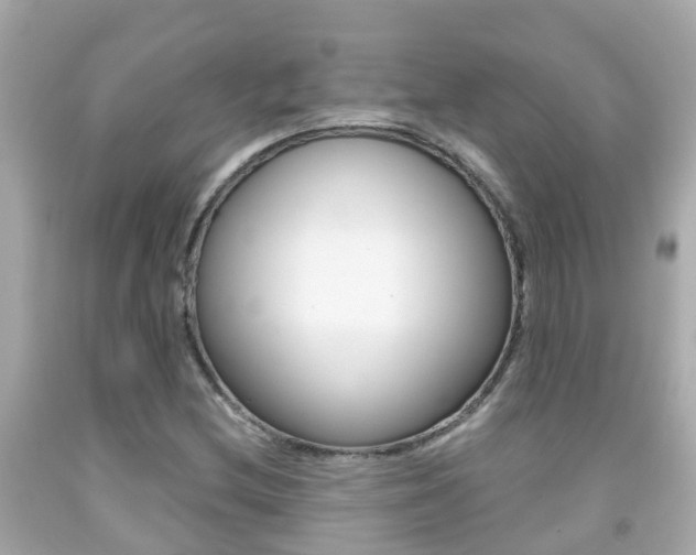 X0000091861212200709050950