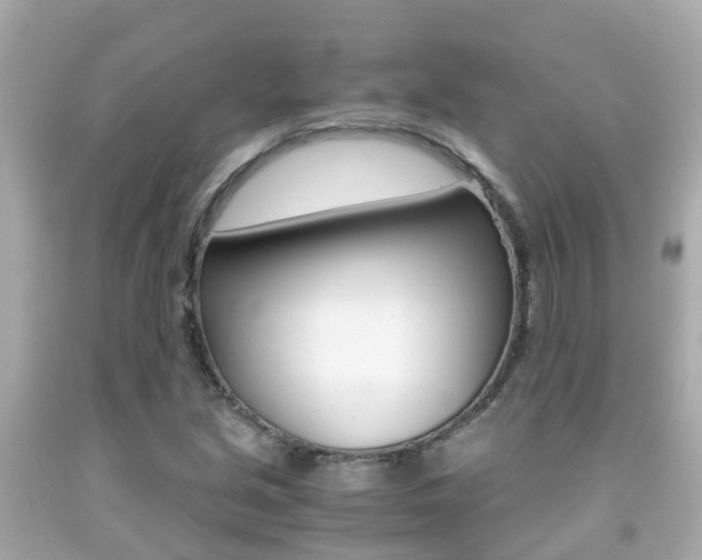 X0000091861213200709050950