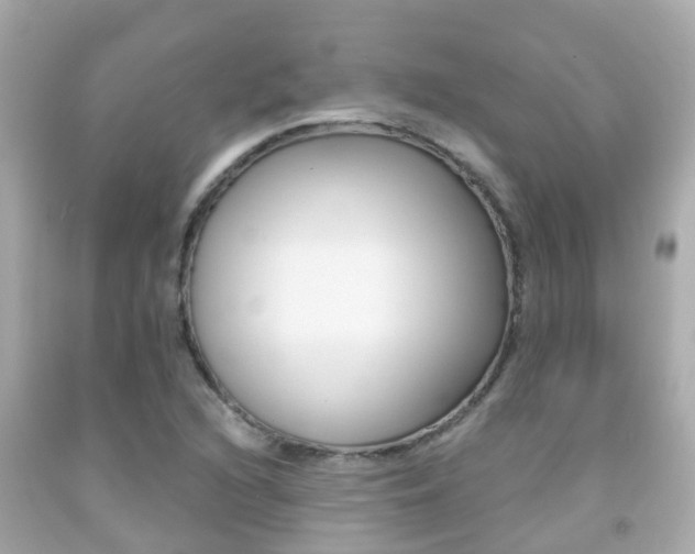 X0000091861216200709050950