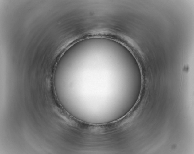 X0000091861217200709050950