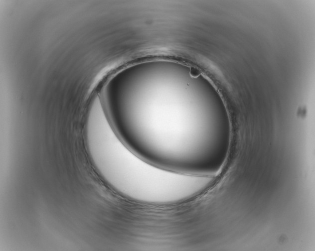 X0000091861218200709050950