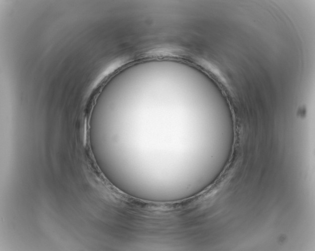 X0000091861219200709050950