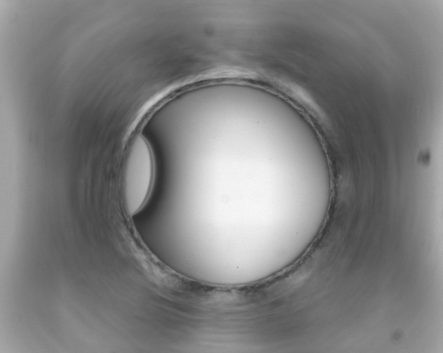 X0000091861220200709050950